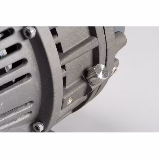 Giappone Anest Iwata Scroll Trockenvakuumpe ISP250b ISP250c