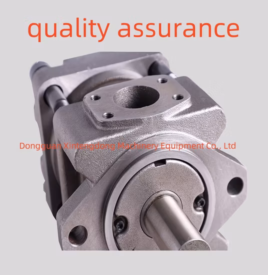 Giappone Sumitomo Pompe ad ingranaggi Qt62-125f-Bp-Z Macchina per stampaggio ad iniezione Pompa dell'olio servoidraulica ad alta pressione