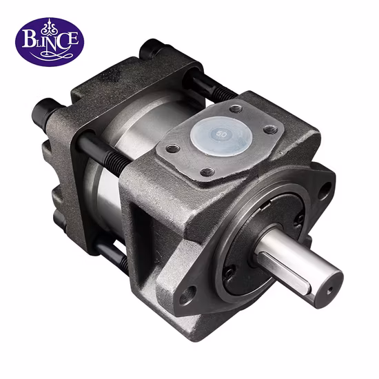 Pompa dell'olio per macchina per stampaggio a iniezione Sumitomo giapponese Qt52-40f-a Pompa dell'olio idraulico Qt52-50f-a Qt52-63f-Z