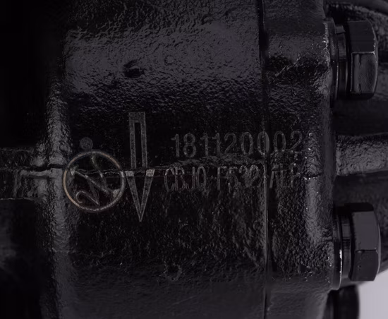 Pompa olio idraulica doppia originale Voiths Ipvps-4/5/6-64/80-101/171 originale Germania